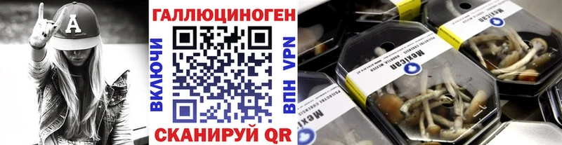 Купить  Нефтегорск  Псилоцибиновые грибы Psilocybine cubensis 